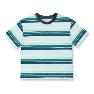 Camiseta ANTON Rayas Multicolor azuladas